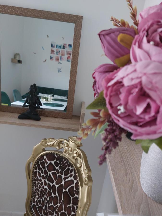 Fand Center Apartman Luxury 세게드 외부 사진